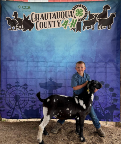 County Fair goat program winners announced